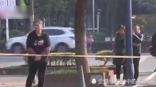 长春南阳路爆料事件视频,真相与争议交织的街头冲突 第3张 长春南阳路爆料事件视频,真相与争议交织的街头冲突 第3张